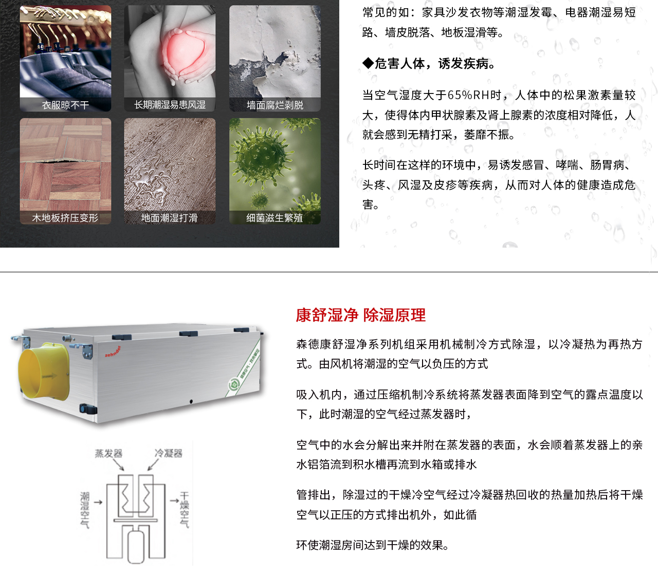 云顶集团·3118acm康舒湿净机组